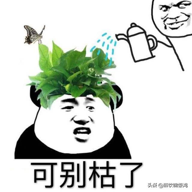 笑话:同事娶了个漂亮媳妇,一分钱没花还赚了辆车,众人纷纷求解 笑话:同事娶了个漂亮媳妇,一分钱没花还赚了辆车,众人纷纷求解