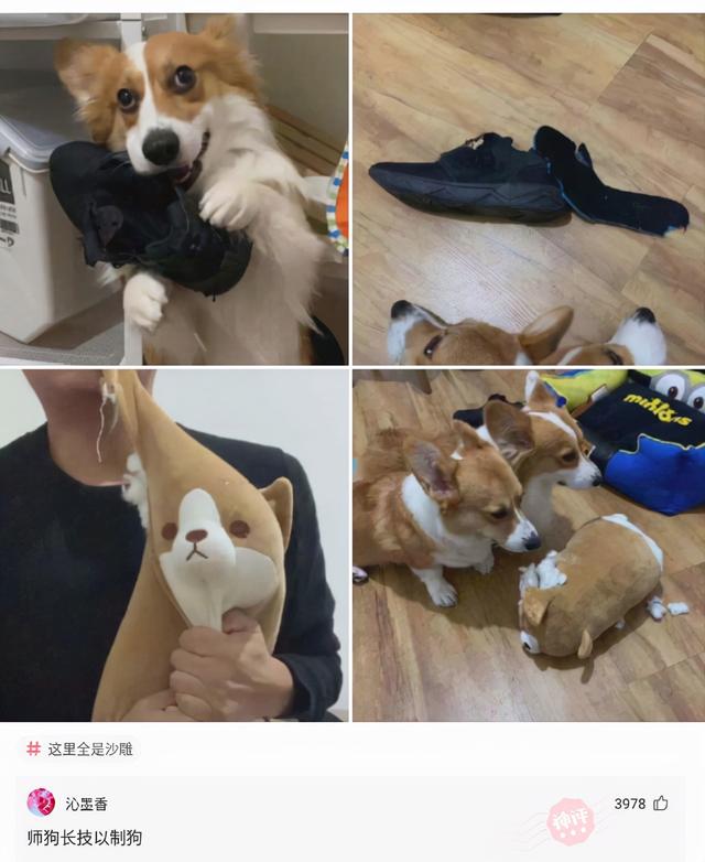 老婆给我发张洗衣粉的图片,就把我给删了,这不是洗衣粉是什么啊 老婆给我发张洗衣粉的图片,就把我给删了,这不是洗衣粉是什么啊