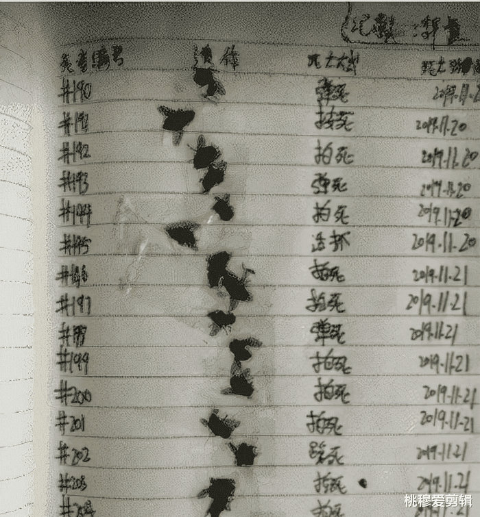 大学舍友的那些惊人操作,网友:娶了老师,睡老师宿舍去了 大学舍友的那些惊人操作,网友:娶了老师,睡老师宿舍去了