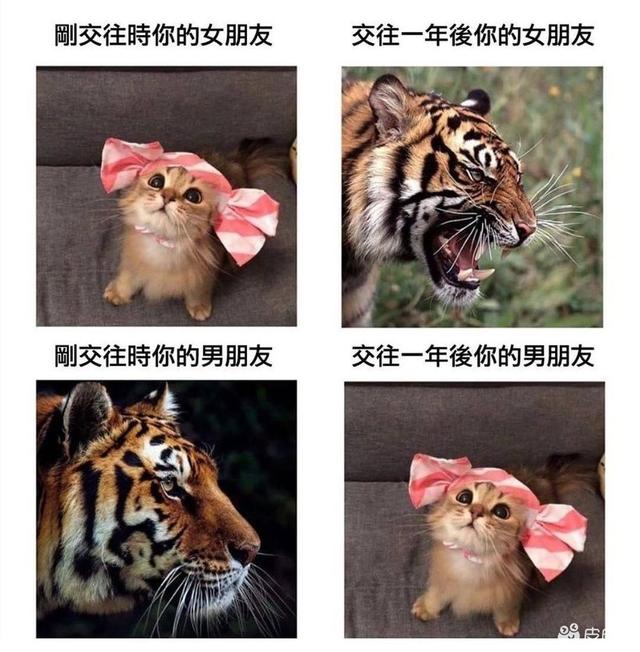 阿姨我想你误会了,我以为你说的是你女儿 阿姨我想你误会了,我以为你说的是你女儿