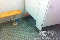 在厕所看到这样悲惨的一幕