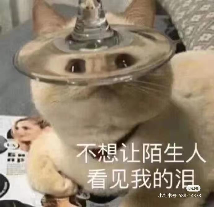 轻松一秒:什么事男生做正常,女生做就是变态? 轻松一秒:什么事男生做正常,女生做就是变态?