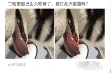 “女朋友去世了,要不要删除她的微信?”哇哈哈哈...网友评论信息量很大啊~ “女朋友去世了,要不要删除她的微信?”哇哈哈哈...网友评论信息量很大啊~