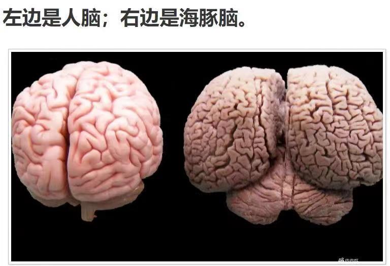 轻松一秒:原来这样聊天,能让对方回60秒语音! 轻松一秒:原来这样聊天,能让对方回60秒语音!