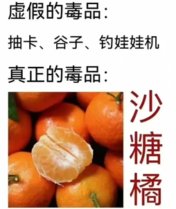 轻松一刻:为什么男人都喜欢双马尾? 轻松一刻:为什么男人都喜欢双马尾?