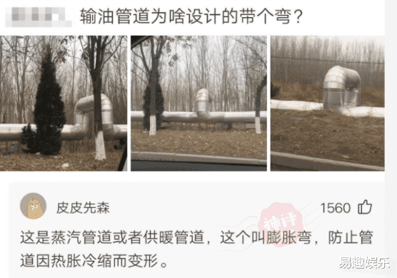 “哪位大神能告诉我,输油管道为啥设计的带个弯?”哈哈哈哈评论长知识了啊 “哪位大神能告诉我,输油管道为啥设计的带个弯?”哈哈哈哈评论长知识了啊