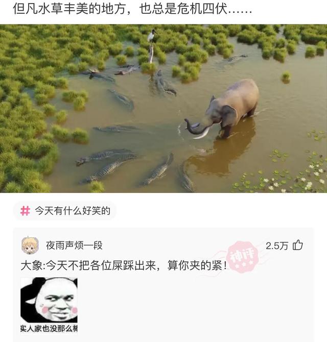 “全国最亲的亲戚关系,亲上加亲”等等,让我先捋一捋,哈哈哈 “全国最亲的亲戚关系,亲上加亲”等等,让我先捋一捋,哈哈哈