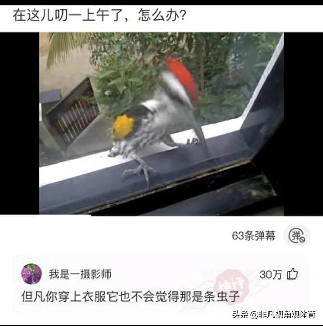 神回复:廉价又饱腹的食物是什么?神评竟然全国统一,真绝了 神回复:廉价又饱腹的食物是什么?神评竟然全国统一,真绝了