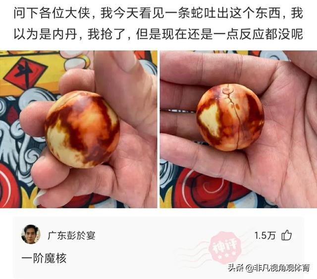 神回复：廉价又饱腹的食物是什么？神评竟然全国统一，真绝了