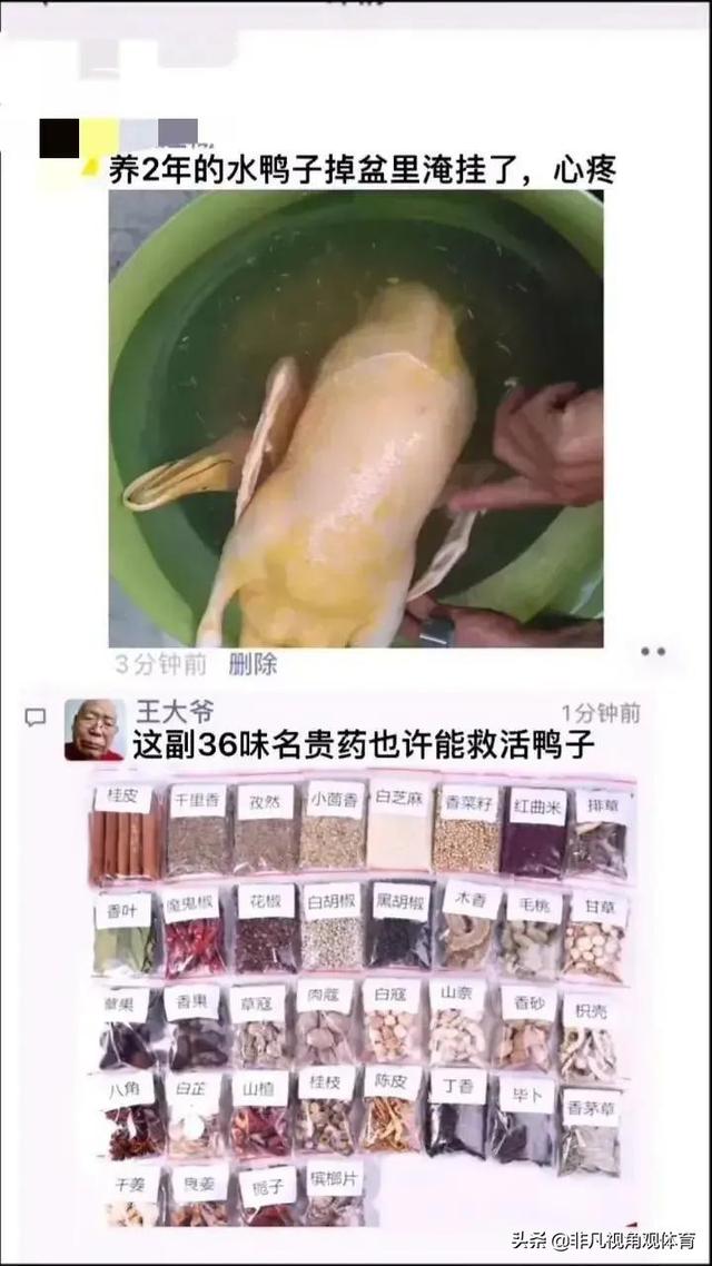 神回复：廉价又饱腹的食物是什么？神评竟然全国统一，真绝了