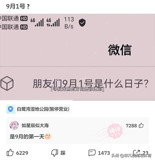 神回复：廉价又饱腹的食物是什么？神评竟然全国统一，真绝了