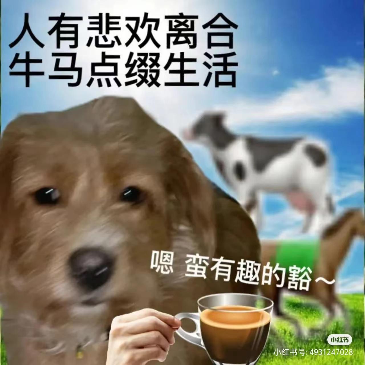 轻松一秒:医生听诊完,吓得从凳子上摔下来了! 轻松一秒:医生听诊完,吓得从凳子上摔下来了!