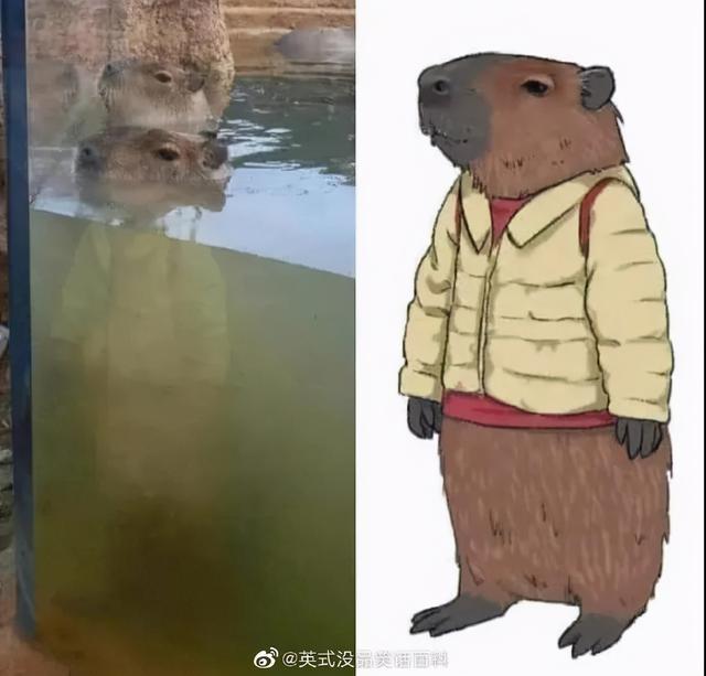 “网上买了件猛男T恤后?”哈哈哈哈快停止散发你的魅力吧 “网上买了件猛男T恤后?”哈哈哈哈快停止散发你的魅力吧