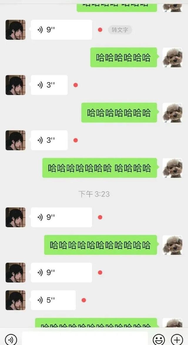 “网上买了件猛男T恤后?”哈哈哈哈快停止散发你的魅力吧 “网上买了件猛男T恤后?”哈哈哈哈快停止散发你的魅力吧