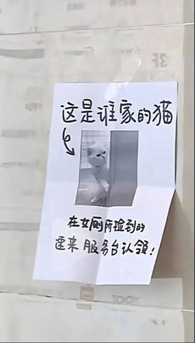 “网上买了件猛男T恤后?”哈哈哈哈快停止散发你的魅力吧 “网上买了件猛男T恤后?”哈哈哈哈快停止散发你的魅力吧