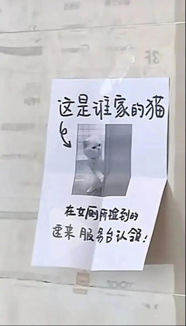 “网上买了件猛男T恤后？”哈哈哈哈快停止散发你的魅力吧