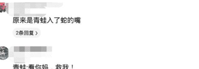 这是小蛇出了轨,还是青蛙劈了腿啊?大家怎么认为呢? 这是小蛇出了轨,还是青蛙劈了腿啊?大家怎么认为呢?
