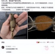 神回复：有什么东西卖真的犯法，卖假的不犯法？神评把我笑死了