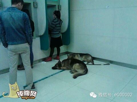 取钱带这样的保镖谁还敢抢啊 取钱带这样的保镖谁还敢抢啊