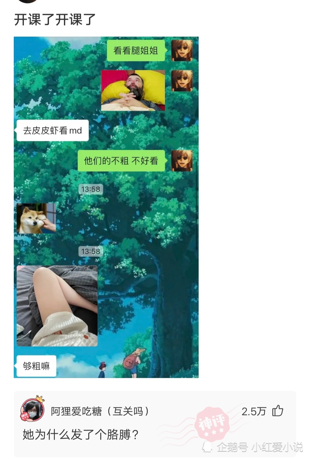 神回复:这也能成相亲失败的理由?小伙瞬间哭瞎了。 神回复:这也能成相亲失败的理由?小伙瞬间哭瞎了。