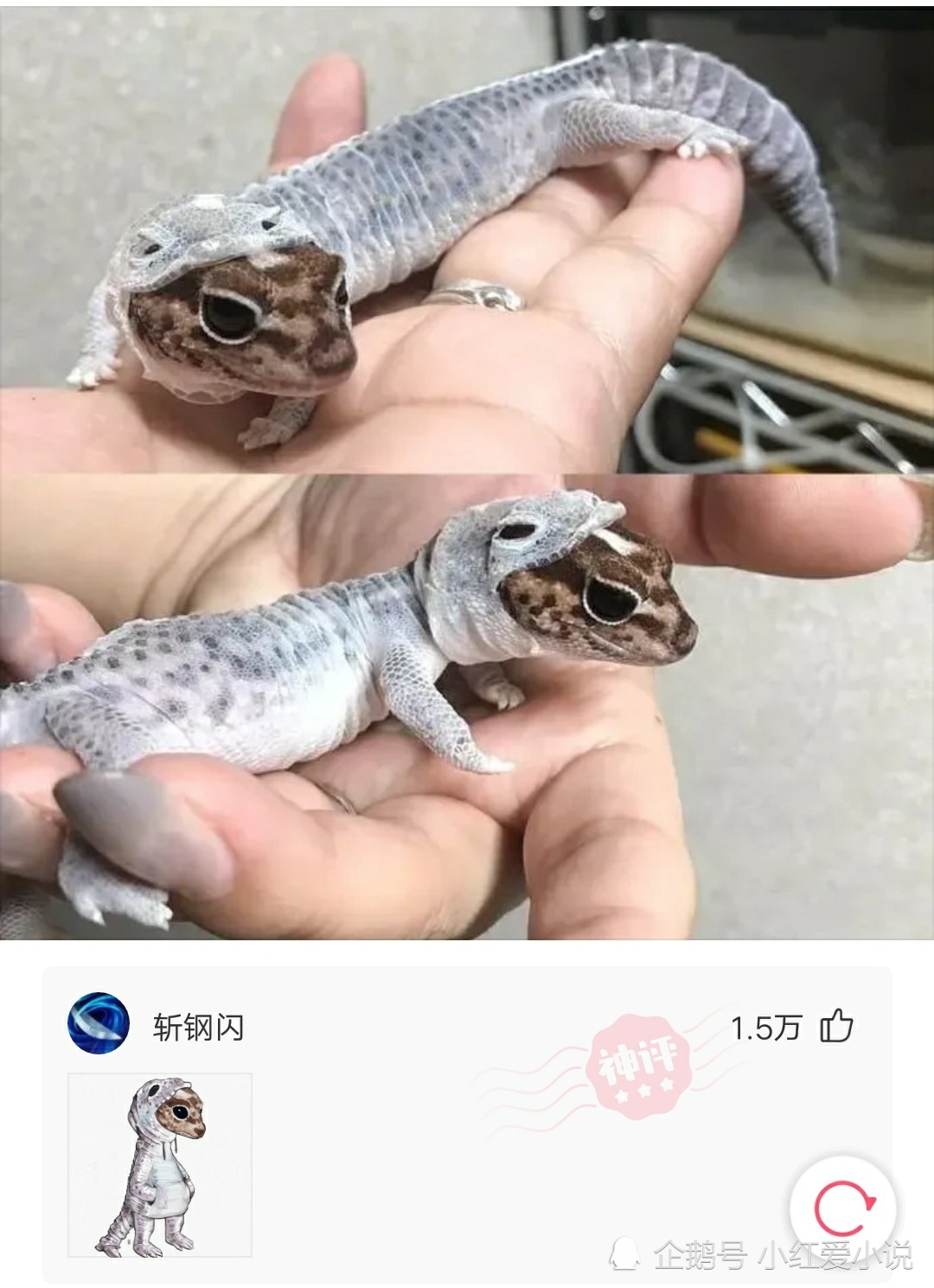 神回复:这也能成相亲失败的理由?小伙瞬间哭瞎了。 神回复:这也能成相亲失败的理由?小伙瞬间哭瞎了。