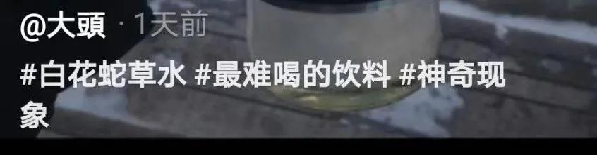 搞笑：男生寝室的关系可以可怕到什么程度