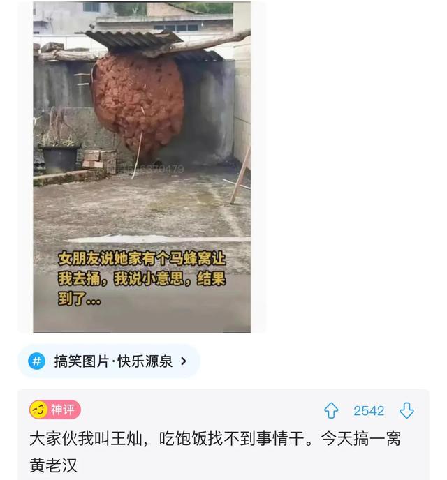 “伴娘躲在角落里玩手机,却抢了新娘风头!”实在是让人想不到啊 “伴娘躲在角落里玩手机,却抢了新娘风头!”实在是让人想不到啊