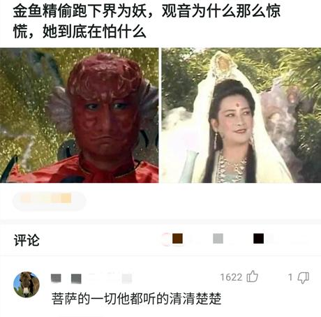 “观音养的金鱼精下界为祸，为什么观音这么惊恐？她在怕什么？”哈哈哈～