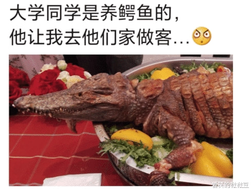 “大学同学家是养鳄鱼的，他让我去做客...”哈哈哈不敢动筷子！