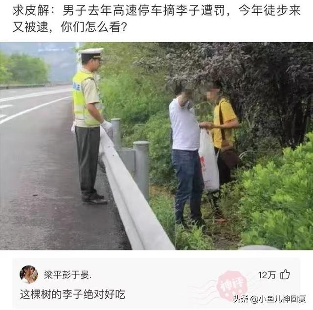 神回复:都说岁月不败美人,啊这 神回复:都说岁月不败美人,啊这