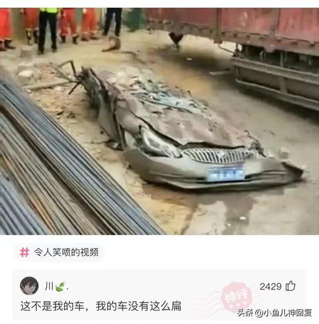 神回复:都说岁月不败美人,啊这 神回复:都说岁月不败美人,啊这