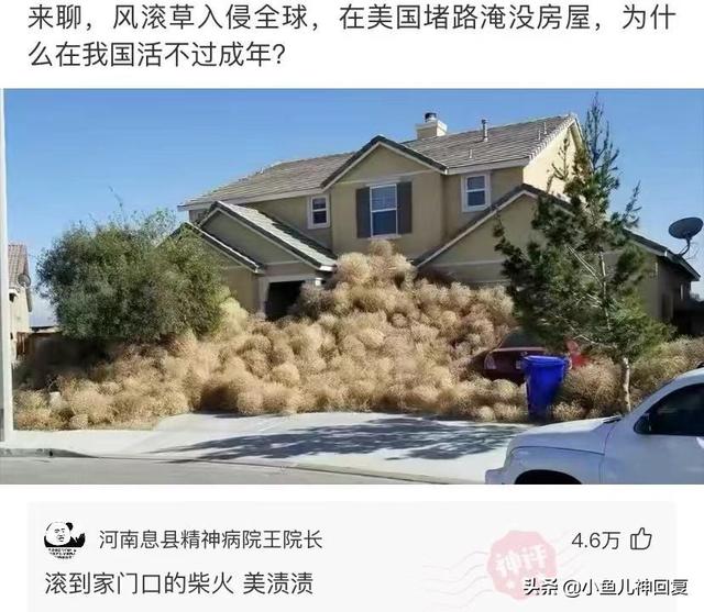 神回复:都说岁月不败美人,啊这 神回复:都说岁月不败美人,啊这