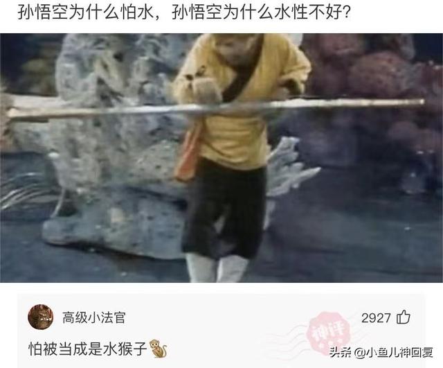 神回复:都说岁月不败美人,啊这 神回复:都说岁月不败美人,啊这