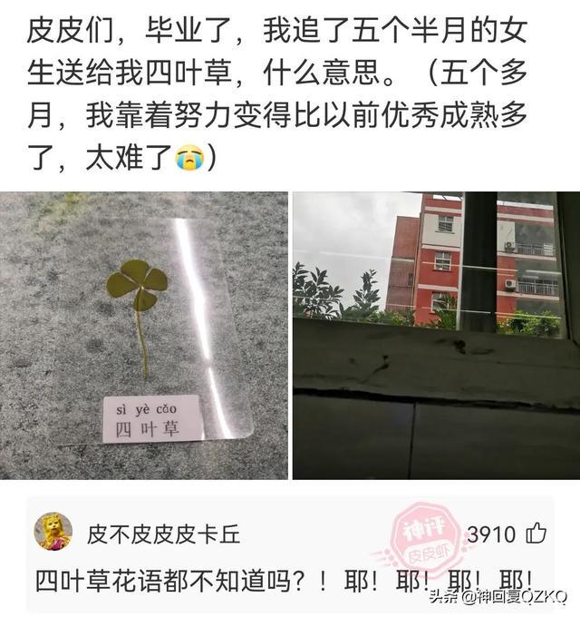 神回复:这叫赌吗?你九点上班,八点半眯一会,那才叫赌 神回复:这叫赌吗?你九点上班,八点半眯一会,那才叫赌