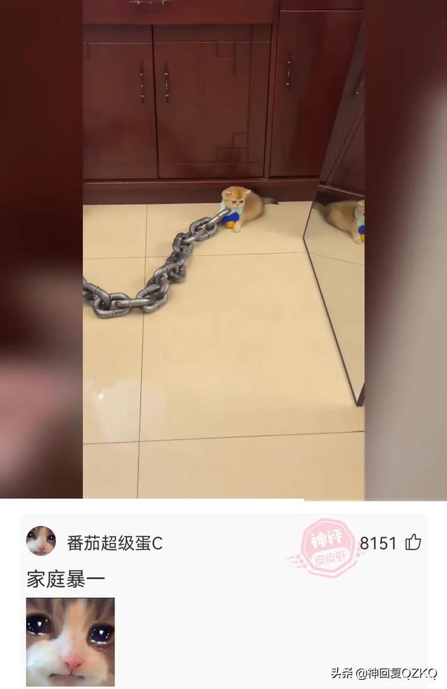 神回复:这叫赌吗?你九点上班,八点半眯一会,那才叫赌 神回复:这叫赌吗?你九点上班,八点半眯一会,那才叫赌