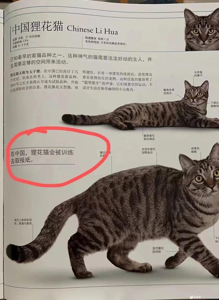 轻松一秒:抛开钱不谈,你现在最需要的是什么? 轻松一秒:抛开钱不谈,你现在最需要的是什么?
