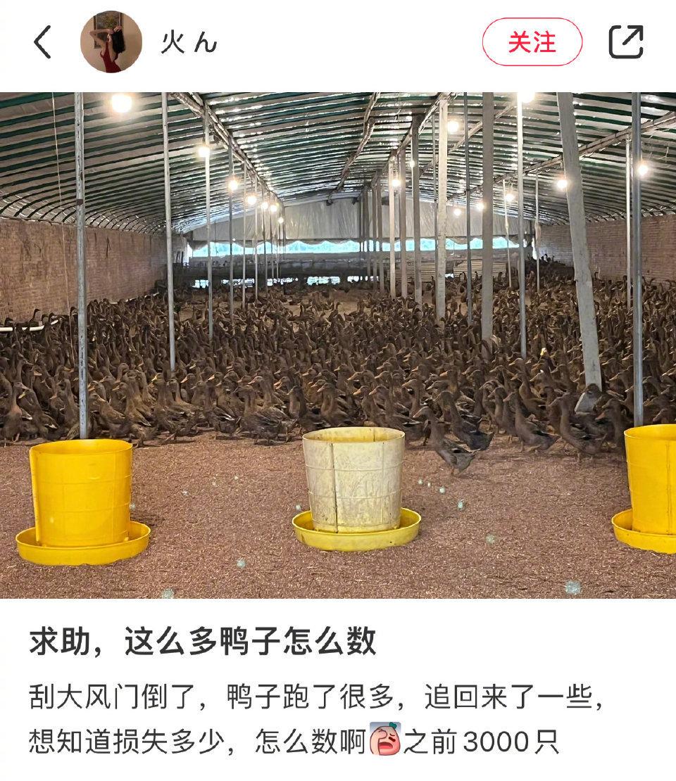 轻松一秒:抛开钱不谈,你现在最需要的是什么? 轻松一秒:抛开钱不谈,你现在最需要的是什么?