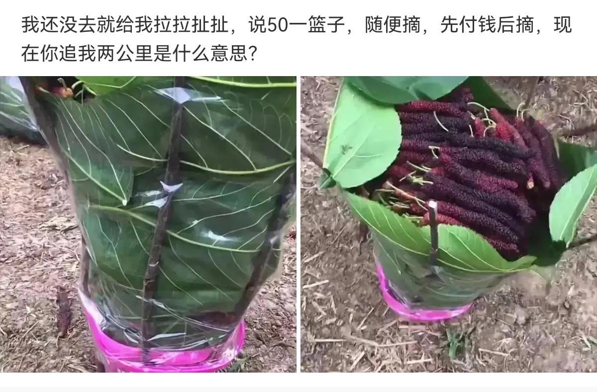 轻松一秒:抛开钱不谈,你现在最需要的是什么? 轻松一秒:抛开钱不谈,你现在最需要的是什么?