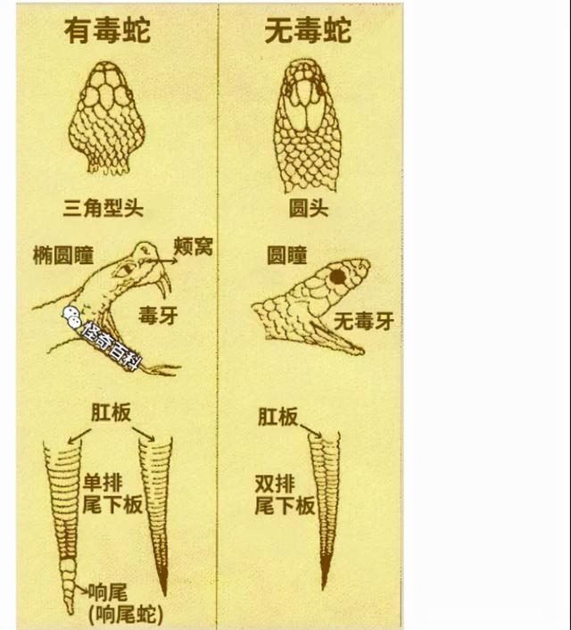 美女P图也太狠了吧,这样也敢发出来,门框都被P变形了 美女P图也太狠了吧,这样也敢发出来,门框都被P变形了