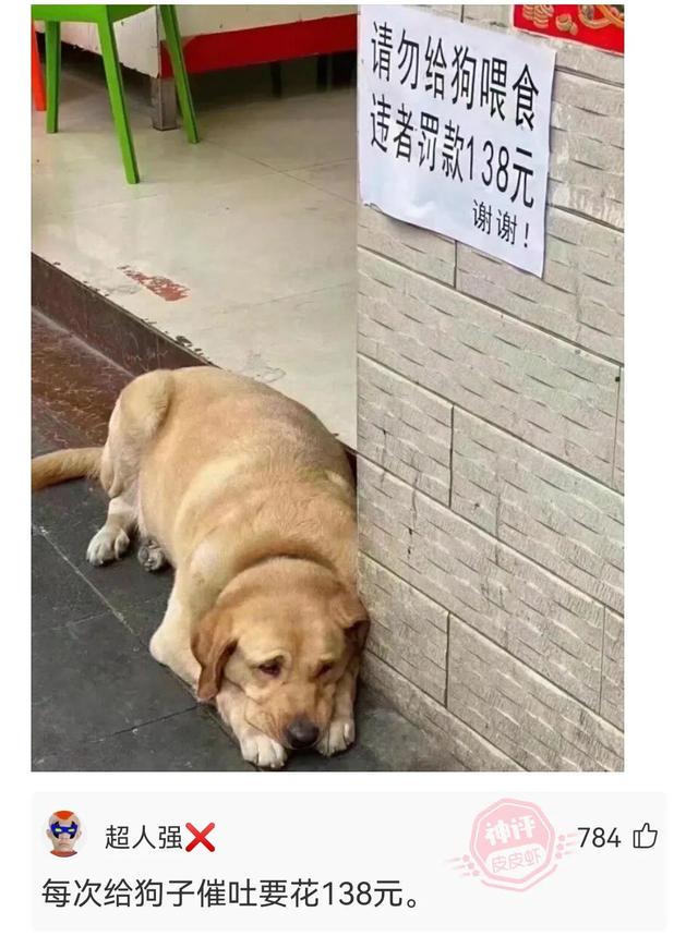 神回复:你以为是她一个人不高兴,其实是两个 神回复:你以为是她一个人不高兴,其实是两个