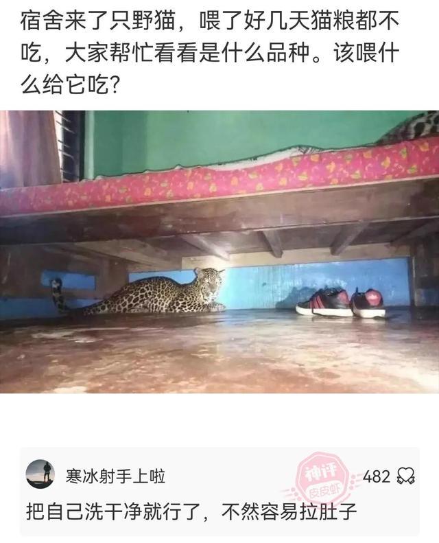 神回复:你以为是她一个人不高兴,其实是两个 神回复:你以为是她一个人不高兴,其实是两个