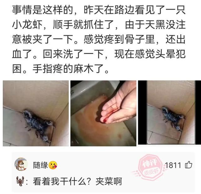 神回复:你以为是她一个人不高兴,其实是两个 神回复:你以为是她一个人不高兴,其实是两个