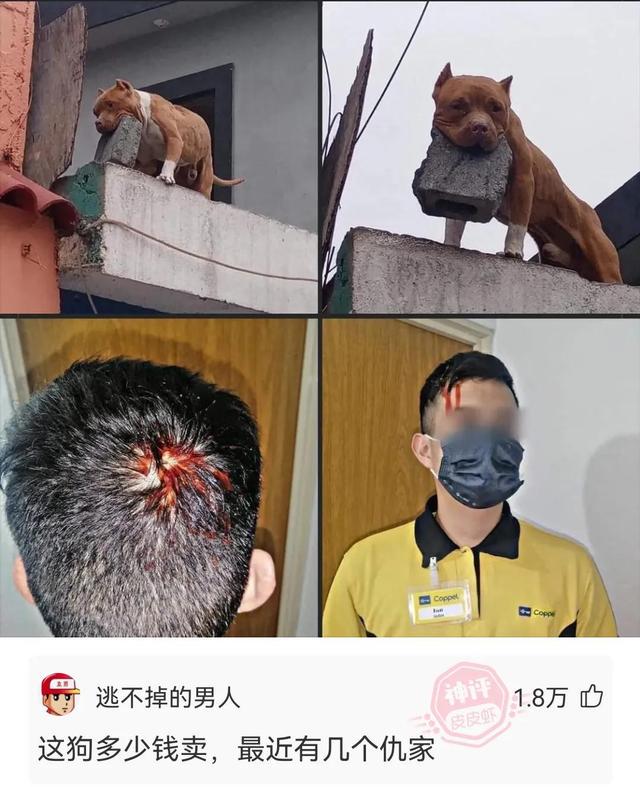 神回复:你以为是她一个人不高兴,其实是两个 神回复:你以为是她一个人不高兴,其实是两个