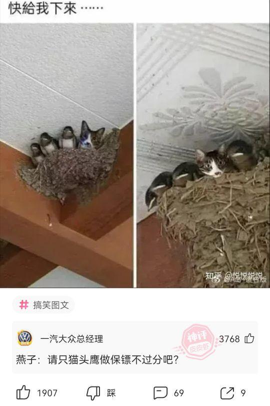 爆笑神回复:同事家里拆迁后提离职没想到老板这样回复哈哈哈 爆笑神回复:同事家里拆迁后提离职没想到老板这样回复哈哈哈