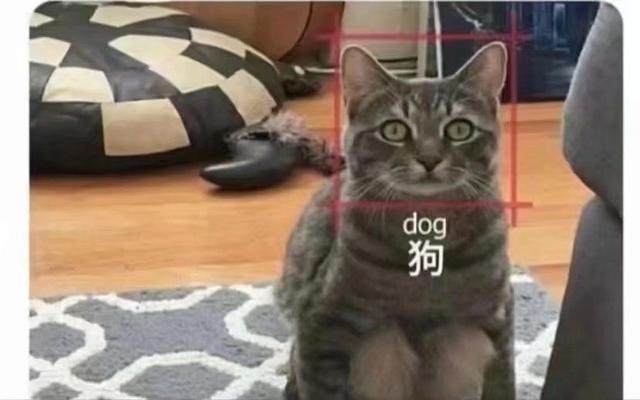 哈哈哈,这个喝多了还得挂儿科 哈哈哈,这个喝多了还得挂儿科
