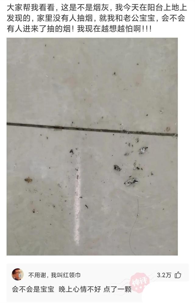 大爷是哪来的自信?一朵蘑菇少于3000元都不卖,评论区彻底沸腾了 大爷是哪来的自信?一朵蘑菇少于3000元都不卖,评论区彻底沸腾了