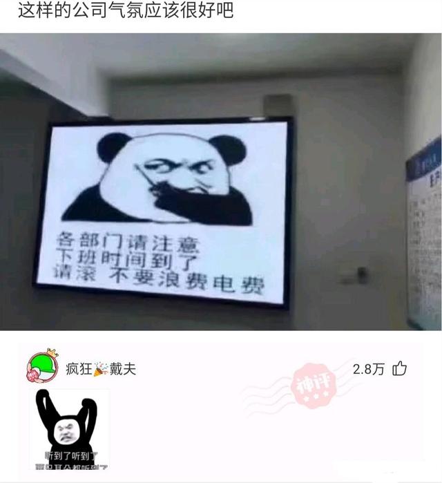 大爷是哪来的自信?一朵蘑菇少于3000元都不卖,评论区彻底沸腾了 大爷是哪来的自信?一朵蘑菇少于3000元都不卖,评论区彻底沸腾了