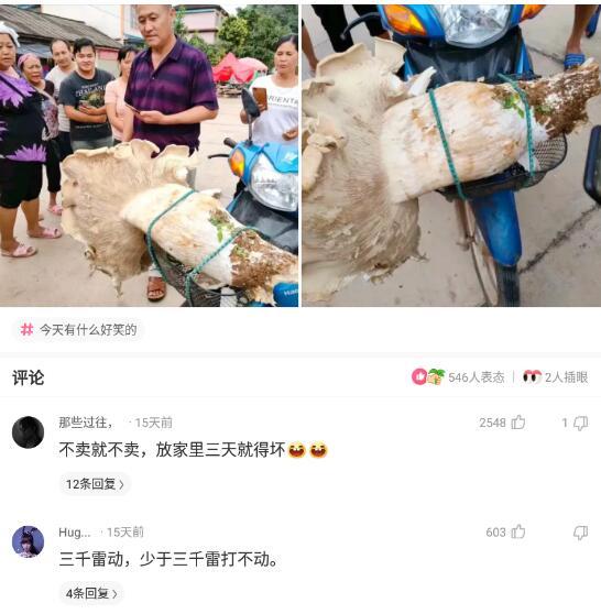 大爷是哪来的自信？一朵蘑菇少于3000元都不卖，评论区彻底沸腾了