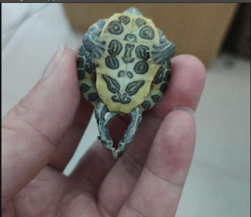 爆笑段子:女友下班回来心情很不好,我就问她怎么了 爆笑段子:女友下班回来心情很不好,我就问她怎么了