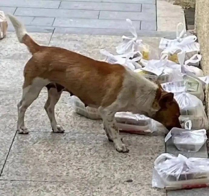 “这不是内衣,这是口罩!”口罩掉地上引发的社死现场… “这不是内衣,这是口罩!”口罩掉地上引发的社死现场…